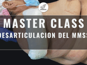 Masterclass 12 | Desarticulación del MMSS