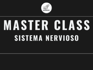 Masterclass 4 | Sistema Nervioso