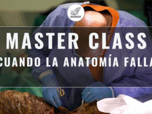 Masterclass 5 | Cuando la Anatomía Falla