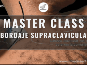 Masterclass 34 | Abordaje supraclavicular - 2