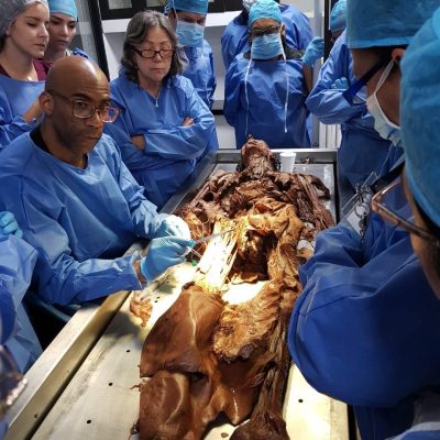 Entrenamientos presenciales ultradissection_com (16)