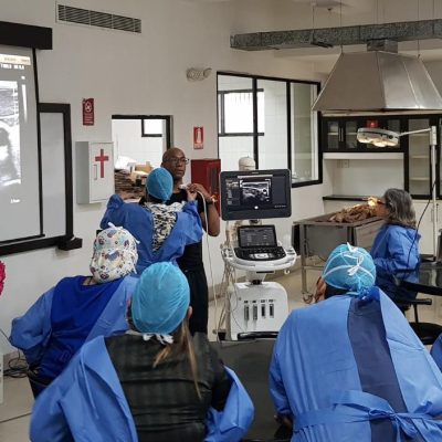 Entrenamientos presenciales ultradissection_com (17)