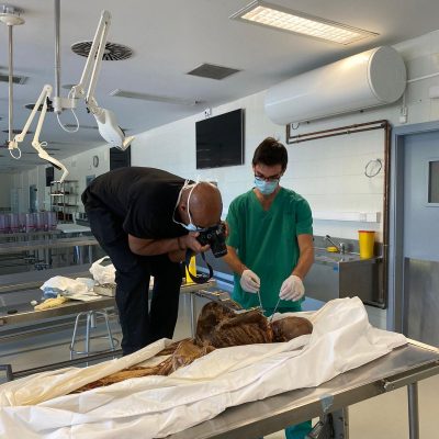 UPA-UltraDissection-Gallery- (12)