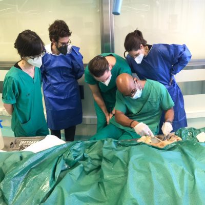 UPA-UltraDissection-Gallery- (14)